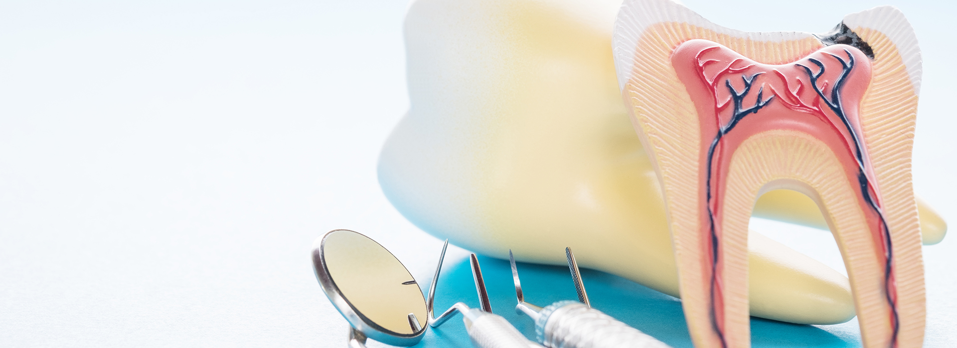 William L. Krell, DDS, MAGD | Preventative Program, Intraoral Camera and ZOOM Whitening